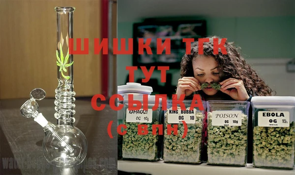 твердый Бронницы
