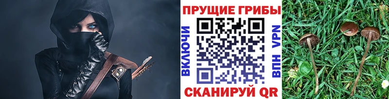 Галлюциногенные грибы MAGIC MUSHROOMS  Норильск 